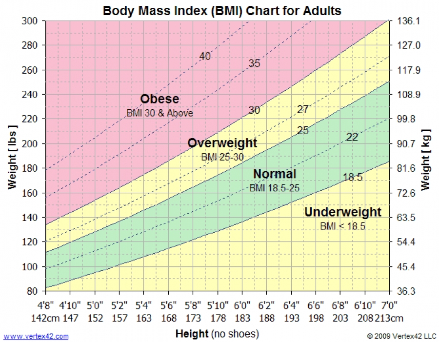 Body Mass Index: What it is all about and how to control it.